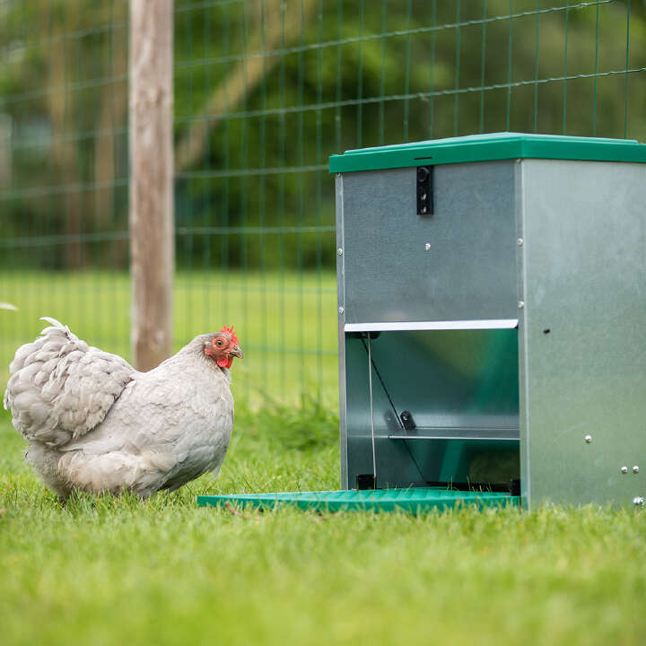 Feedomatic Futterautomat